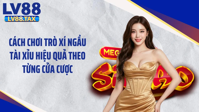 Cách chơi trò xí ngầu tài xỉu hiệu quả theo từng cửa cược